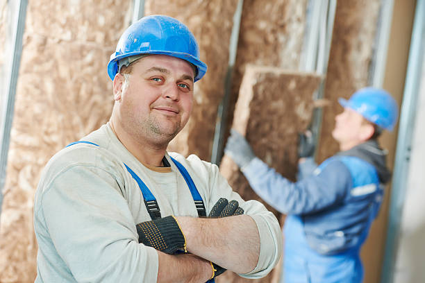 Best Insulation Maintenance and Repair in Crystal City, MO